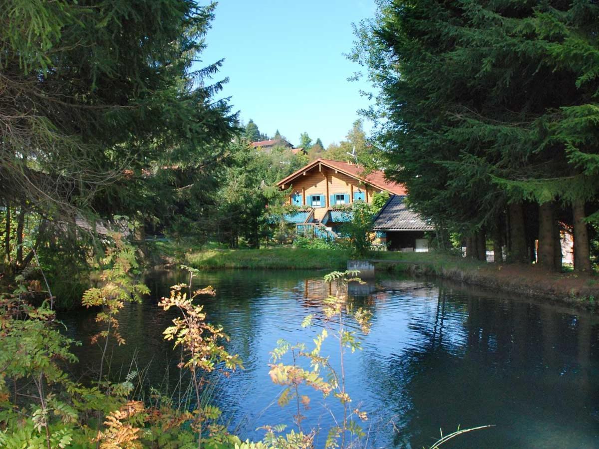 Ferienhaus Mitterdorf ميتيرفيرميانسرويت المظهر الخارجي الصورة