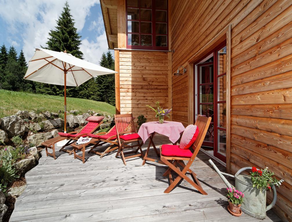 Ferienhaus Mitterdorf ميتيرفيرميانسرويت المظهر الخارجي الصورة
